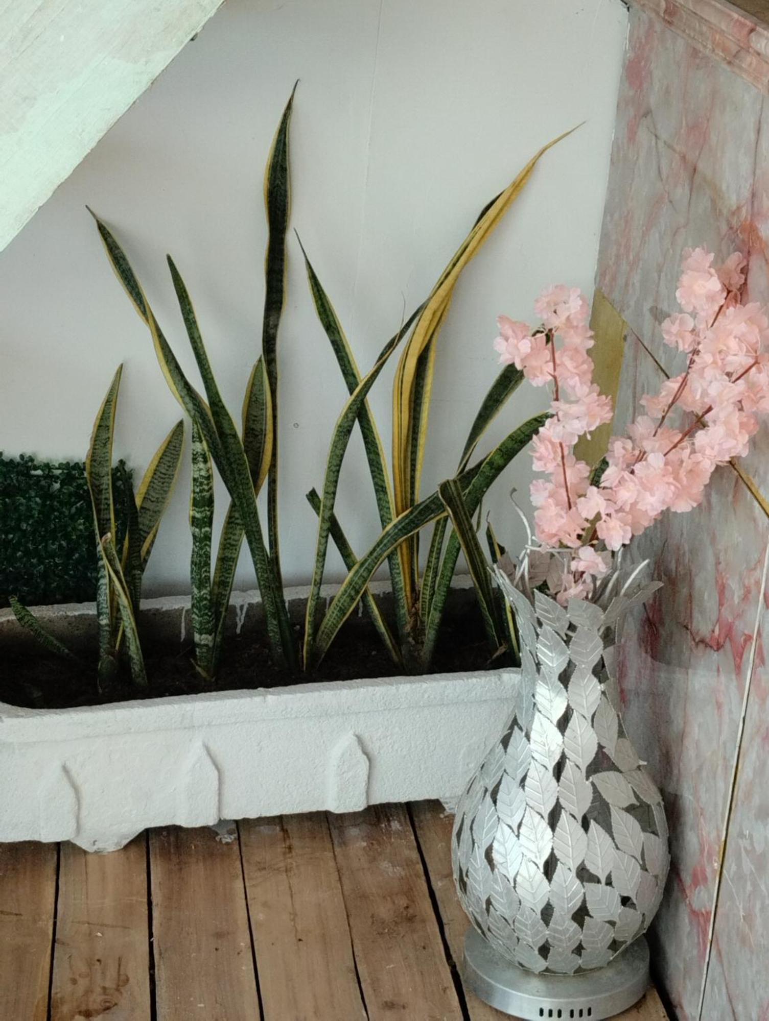 Hostal Lamar Baru Donde Gertrudis ปลายาบลังกา ภายนอก รูปภาพ